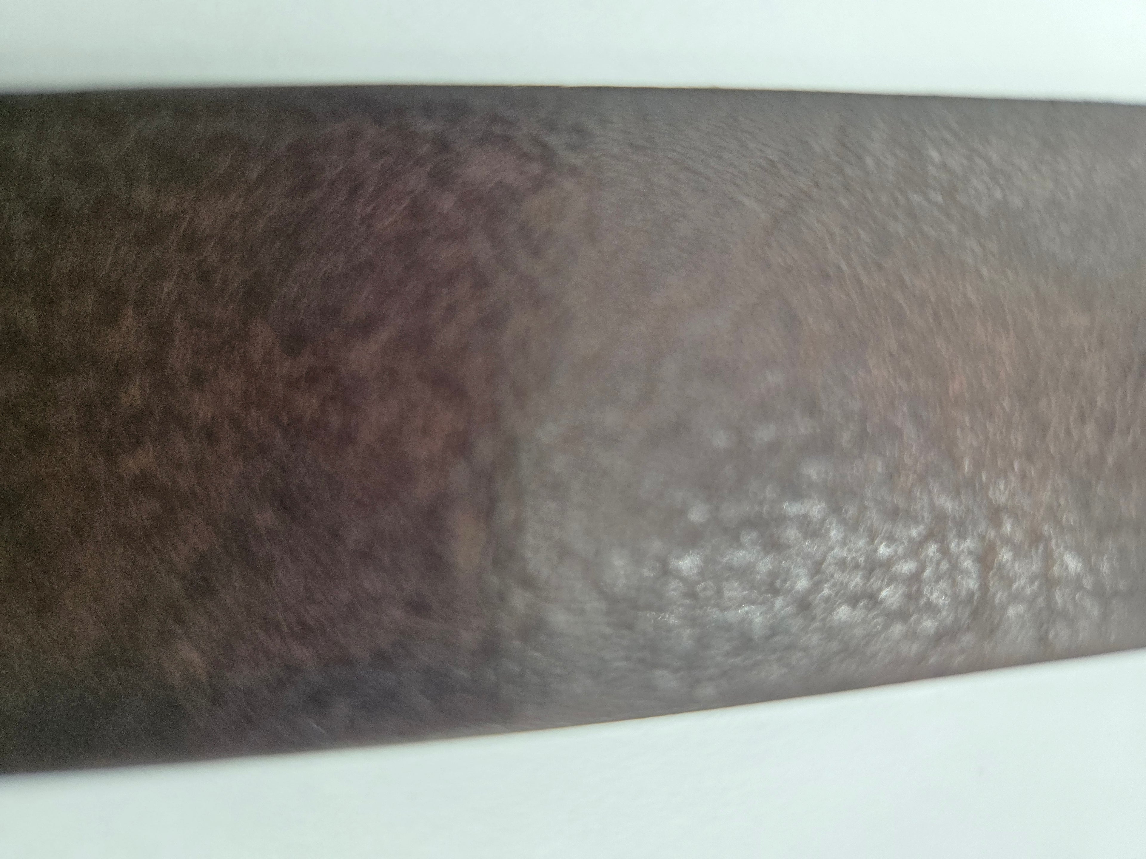 FABIO CORTI Genuine Leather Belt – Handcrafted in Italy | Classic Dark Brown | Size 40