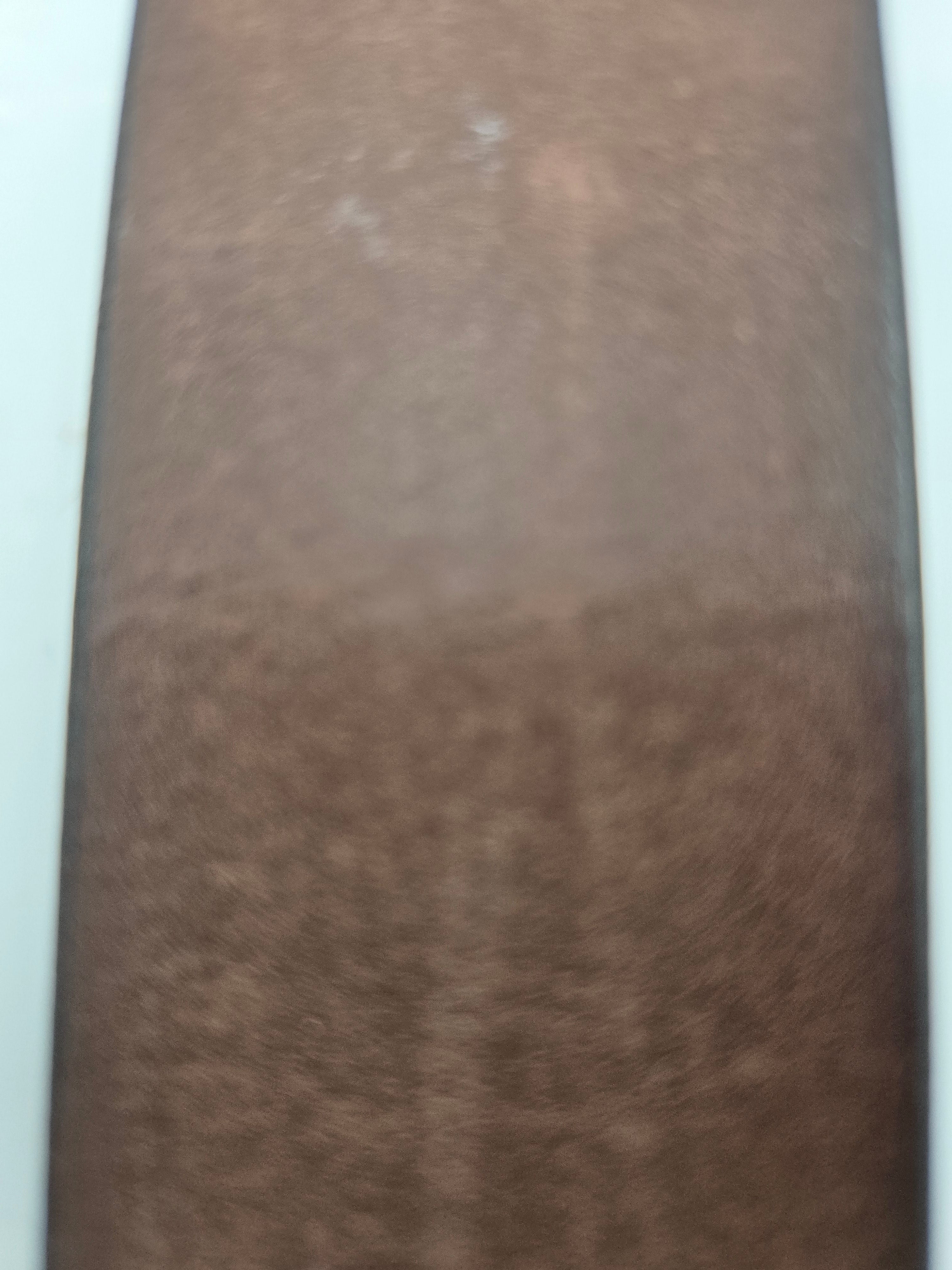 Stone Mountain 100% Genuine Leather Belt – Classic Brown