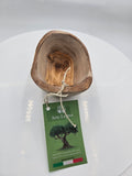 Handcrafted Italian Olive Wood Boat Bowl | 15 cm × 10 cm | Made in Italy
